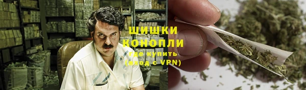прущая мука Вяземский