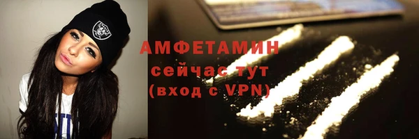прущая мука Вяземский