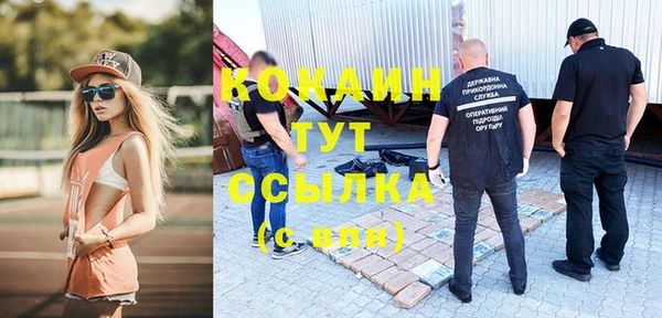 твердый Вязьма
