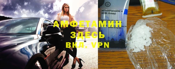 прущая мука Вяземский