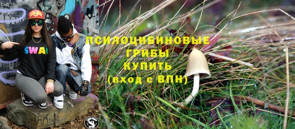 прущая мука Вяземский
