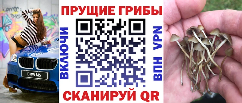 kraken зеркало Нижнеудинск Галлюциногенные грибы Psilocybe закладка