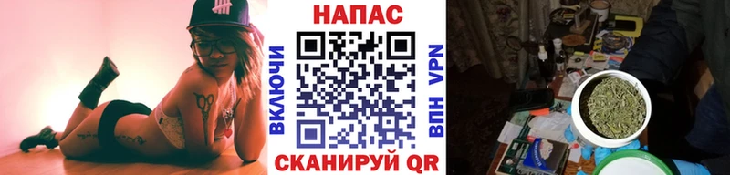 купить закладку  Нижнеудинск  Конопля SATIVA & INDICA 